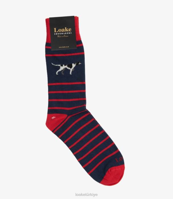 Loake 664H251 işaretçi çorap Donanma Aksesuarlar