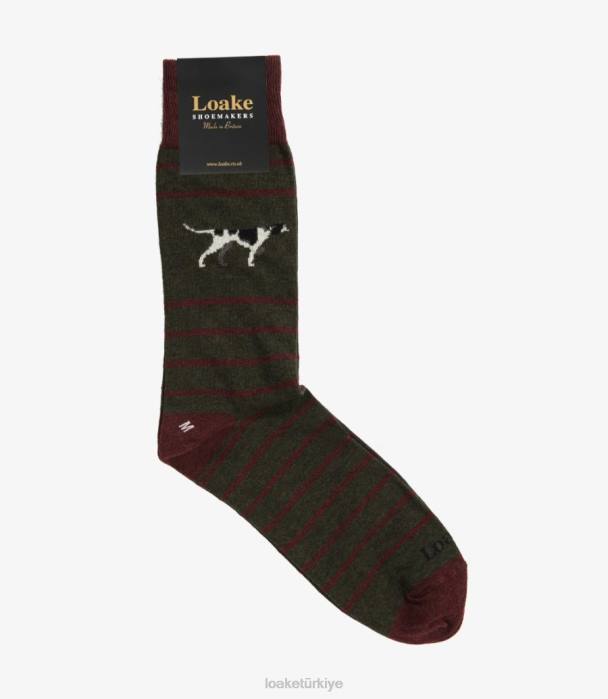 Loake 664H252 işaretçi çorap yeşil Aksesuarlar